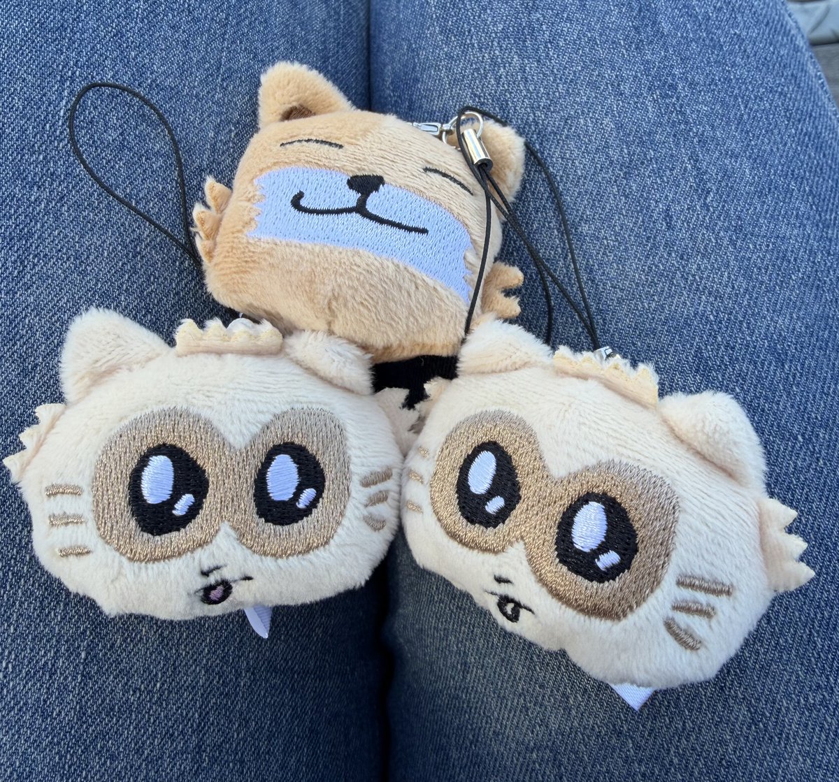 𝕊𝕒𝕖: tweet media