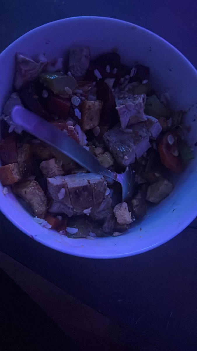 Hoy estuve dos horas cocinándome porque tengo que cambiar la alimentación ya que la insulina no estaría regulándose sola , DOS HORAS PARA ESTO, a veces siento que el universo me detesta, igual estaba rico nose de qué me quejo