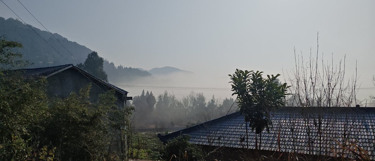 Amethystos tweet media