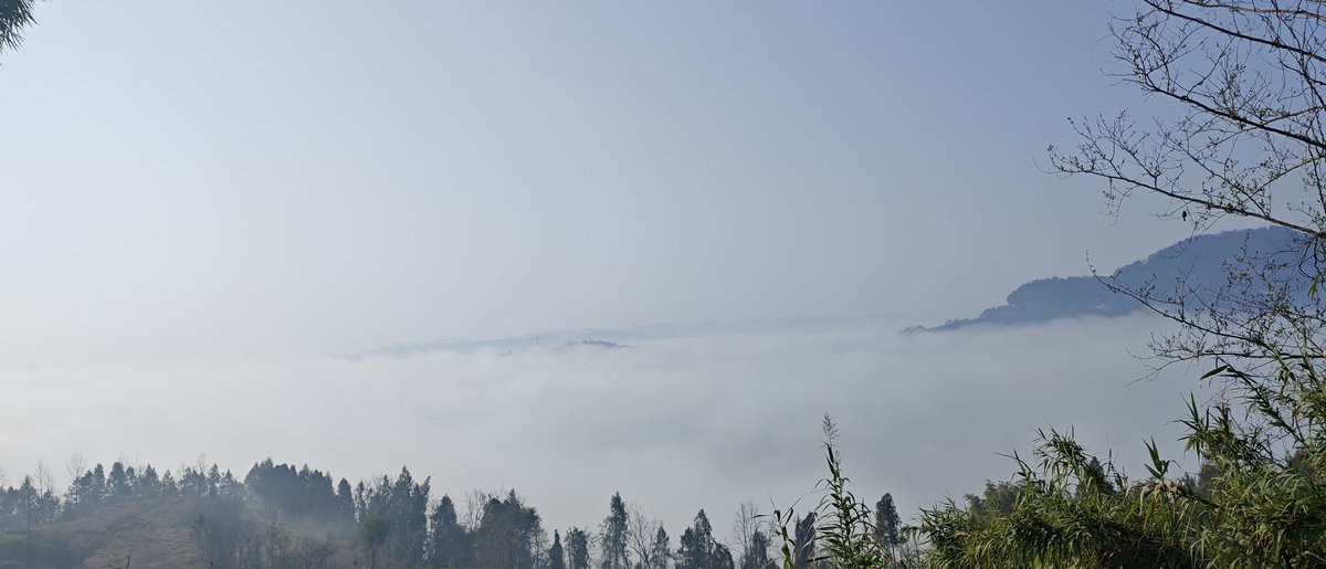 Amethystos tweet media