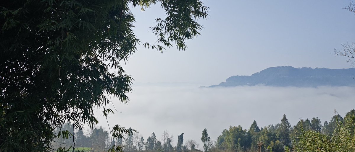 Amethystos tweet media