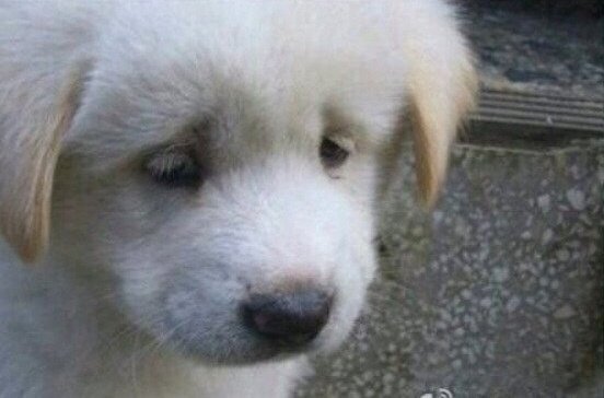 아이텔 시즈 Aitel Siz💚📗 tweet media