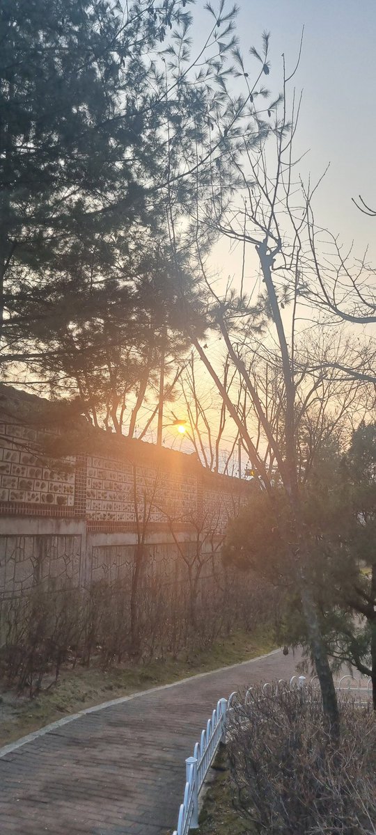 목모닝입니당😁
월요일 같은  목요일이네요. 2일만 열심히 일하면 되니 부담은 덜한데, 놀다 일하려니 
멍~~해져서 현업에 지장이 있는 아침이네요
엑친님들 맛점 하시고 오늘도 화이팅😆