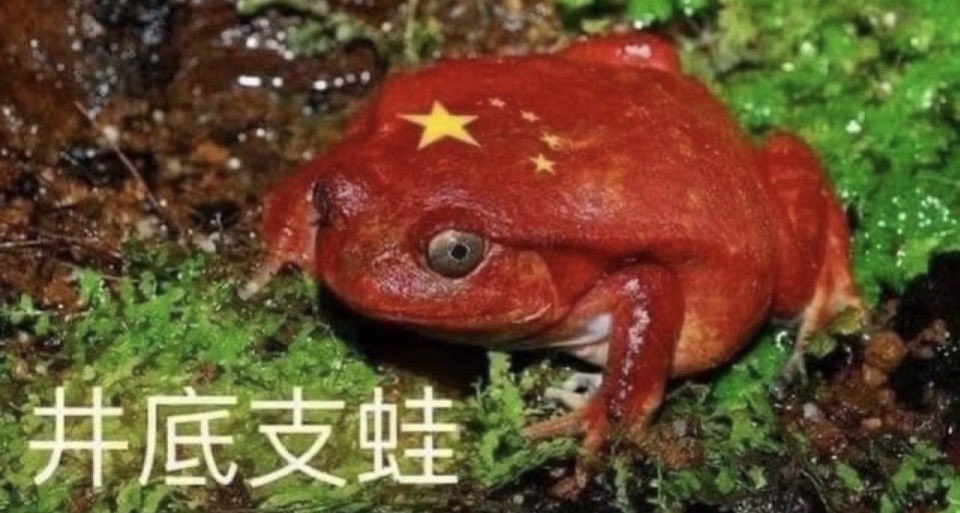 台獨人士 tweet media