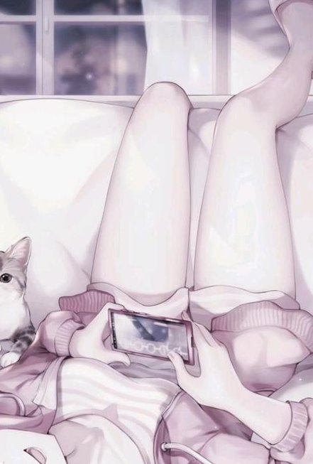 Netty_Me's tweet image. 登山を朝頑張る 👩‍🦽