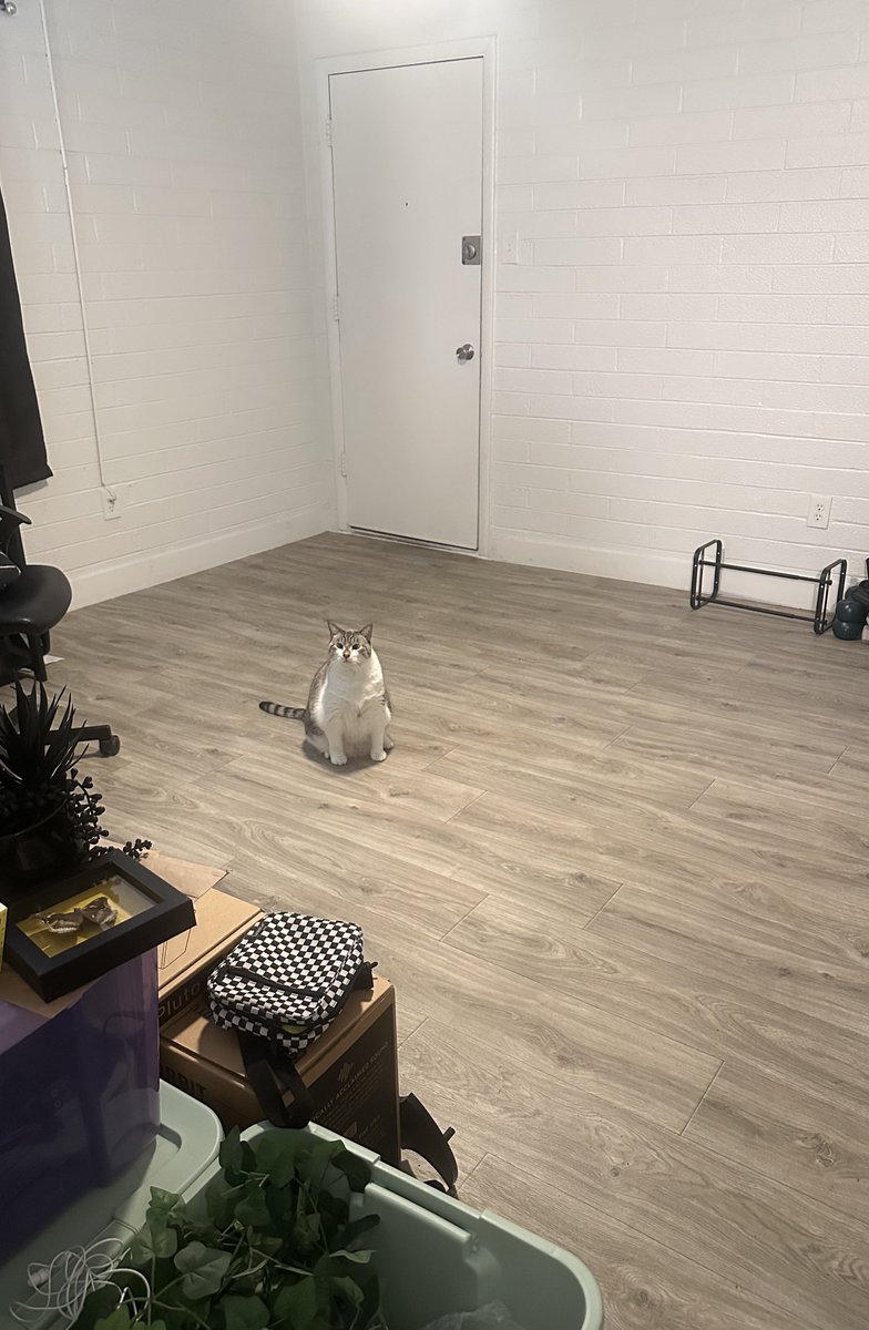 I’ve been selling all the stuff I can’t take to Chicago and she is very concerned with how bald the apartment is now