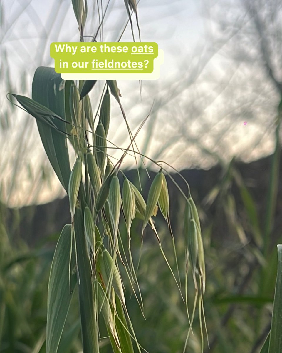 Santa Monica Mt Fund tweet media