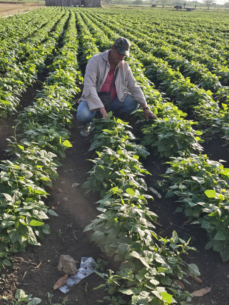 Anelys Ramírez González tweet media