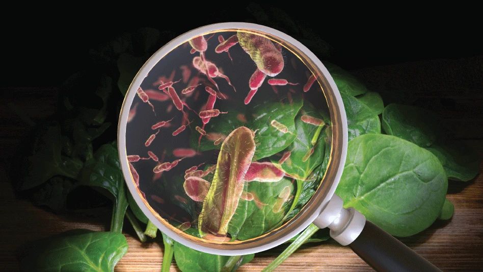 With contamination risks and labeling corrections increasing, the importance of recall management is at an all-time high. Roger Hancock, CEO of Recall InfoLink, shares tips for an effective food recall plan. buff.ly/FXnv05h