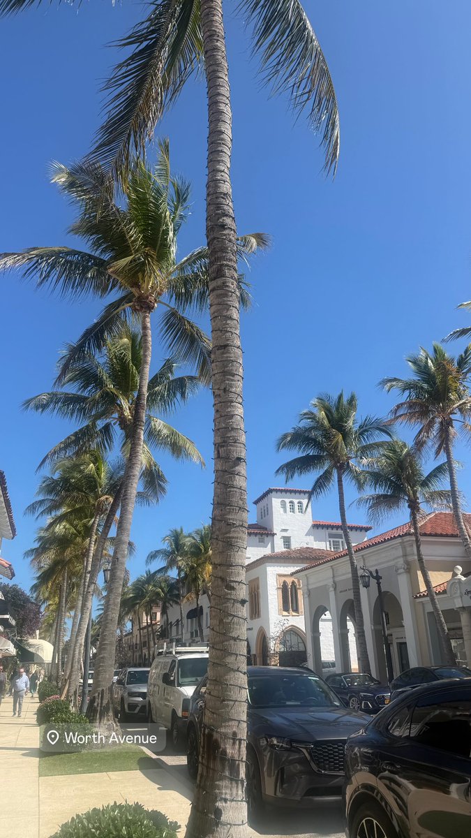 VegasValentino's tweet image. #WestPalmBeach ☀️🇮🇹✈️