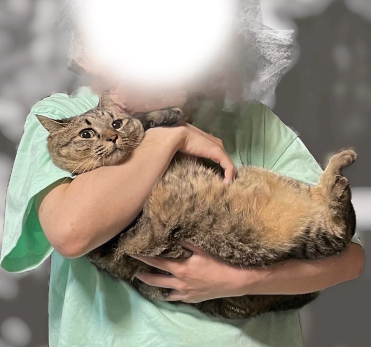 たっぷり愛を注いだ結果、まるくなってしまいました