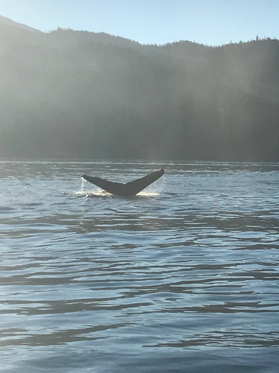 jpie02's tweet photo. @Canada @CanuckleGame @DFO_Pacific Prince Rupert https://t.co/16cdtUBIys