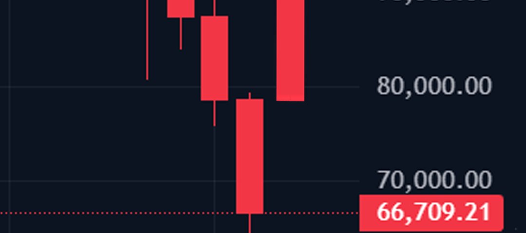 lunar new year be like: