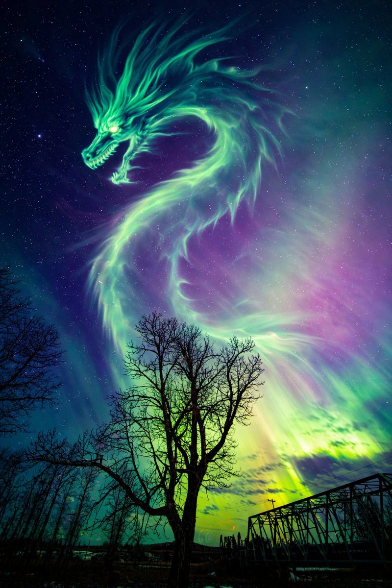 Harlan Thomas tweet media