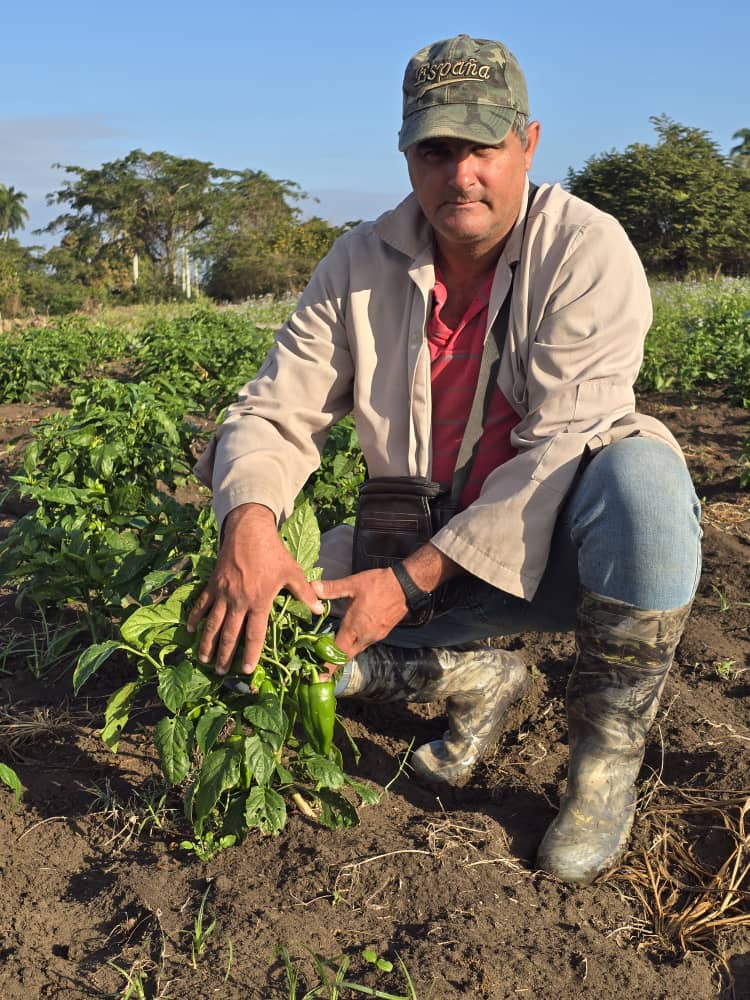 Anelys Ramírez González tweet media