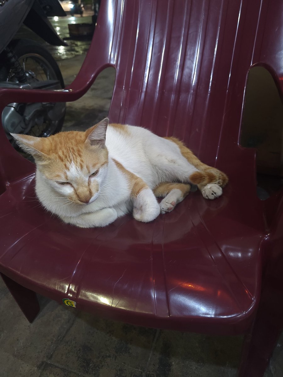 GM
Tidur lagi aja