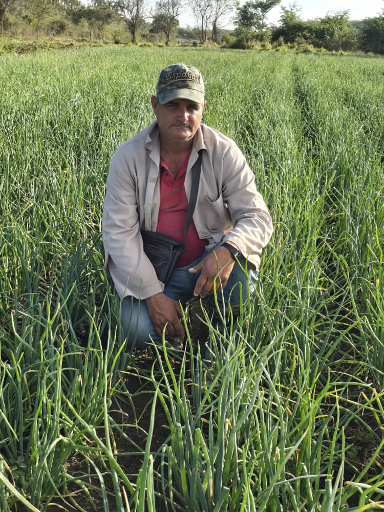 Anelys Ramírez González tweet media