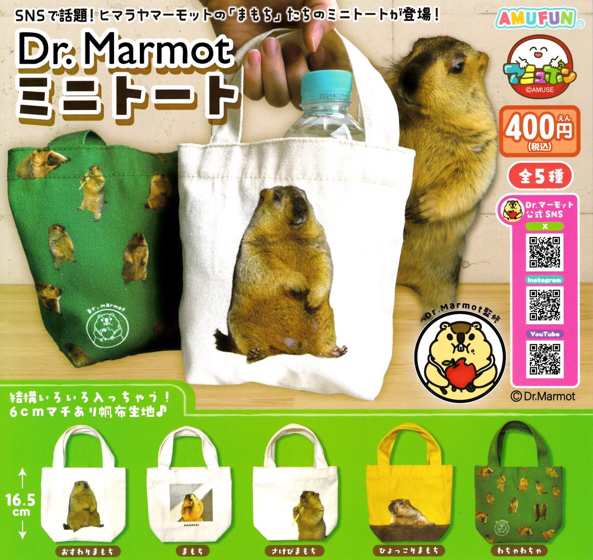 2月19日(木)📯入荷情報⑧📯 🧳Dr.Marmot ミニトート 🐦てるてるすずめ