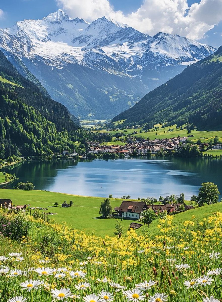 roxburgh07's tweet image. #今日の出来事 動物 👷