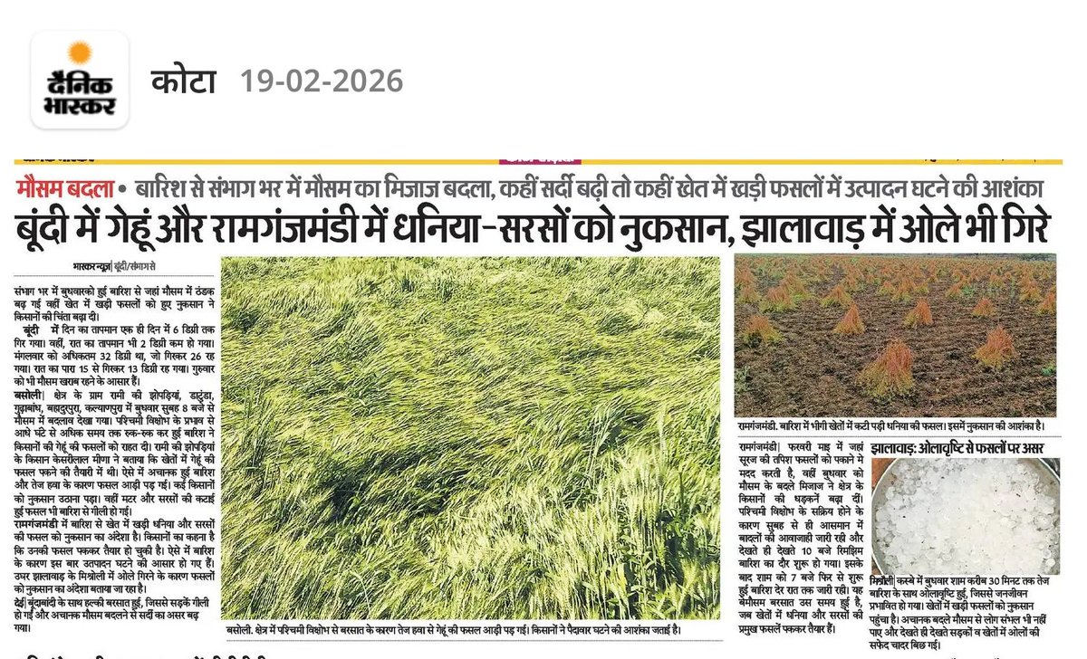 CheshtaE's tweet photo. तेज बारिश से फ़सले बर्बाद 
#Wheat #Sarson https://t.co/s7RwyfCDRQ