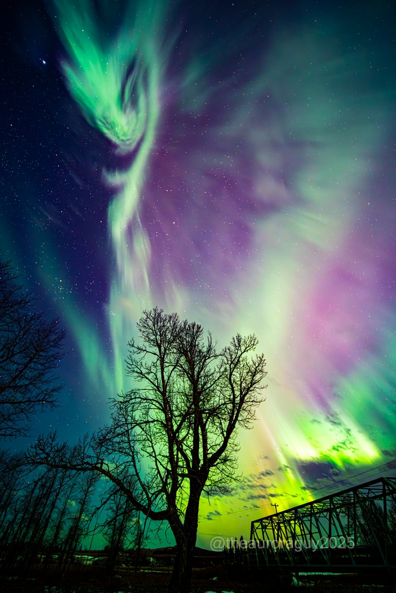 Harlan Thomas tweet media