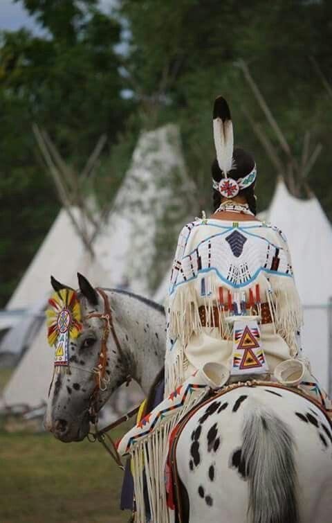 “Man is the most insane species! He worships an invisible God and destroys a Visible Nature—Unaware that this Nature he’s destroying is this God he’s Worshiping!”

~ H. Reeves,