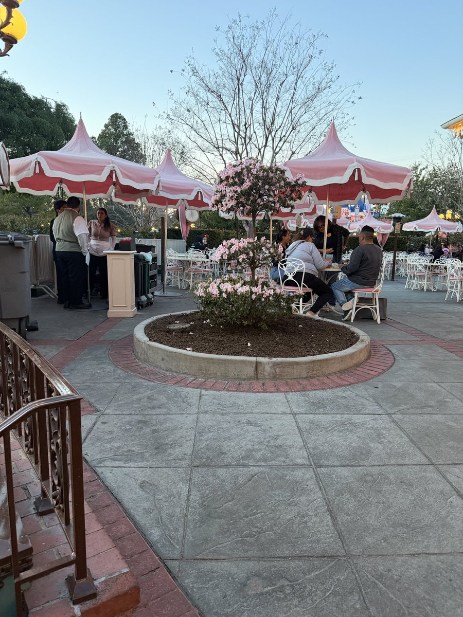 Theme Park IQ tweet media