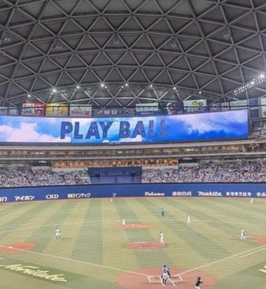 Lexorrjay's tweet image. 夕方の計画 🦴