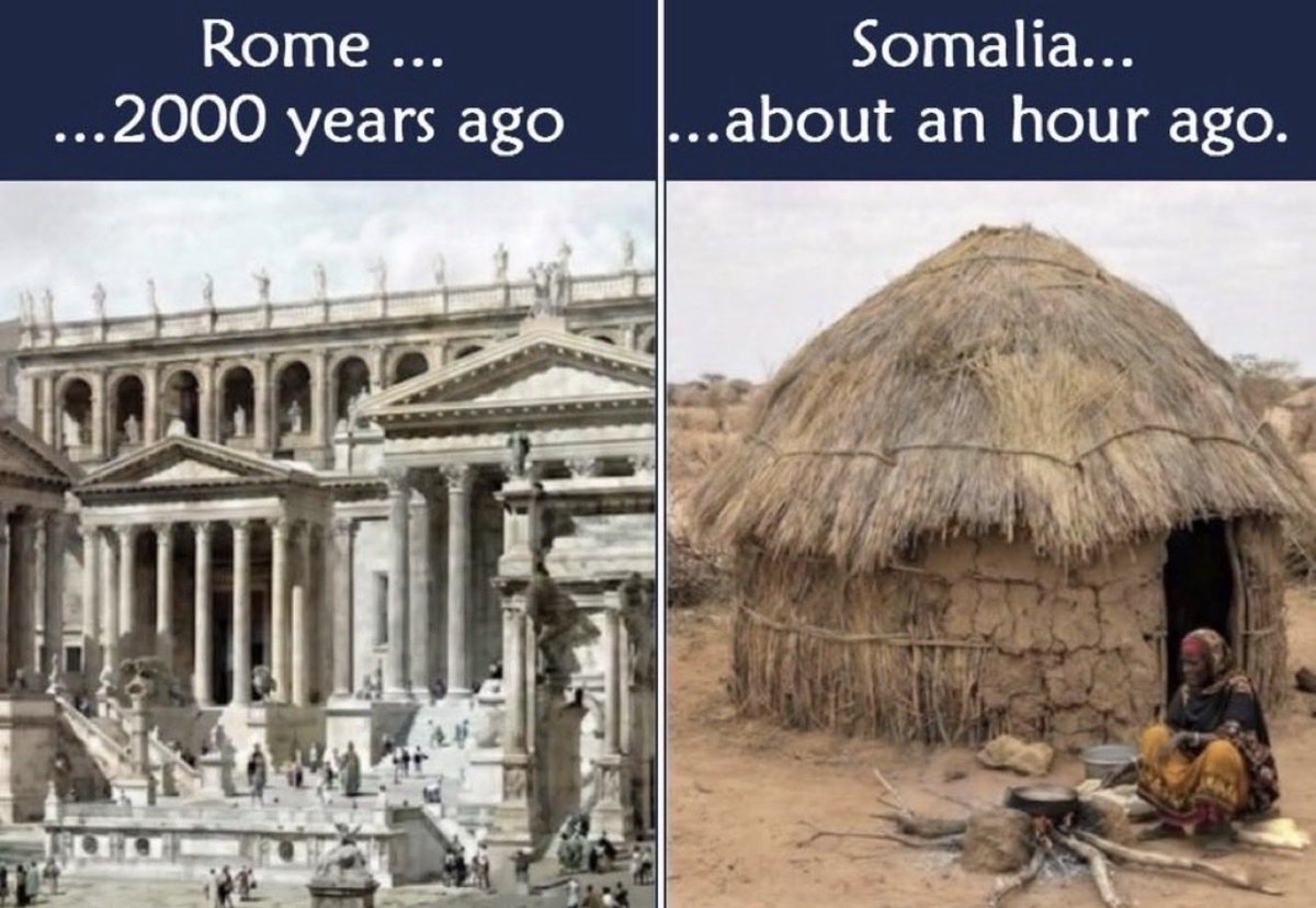 dyneemadrone's tweet image. 