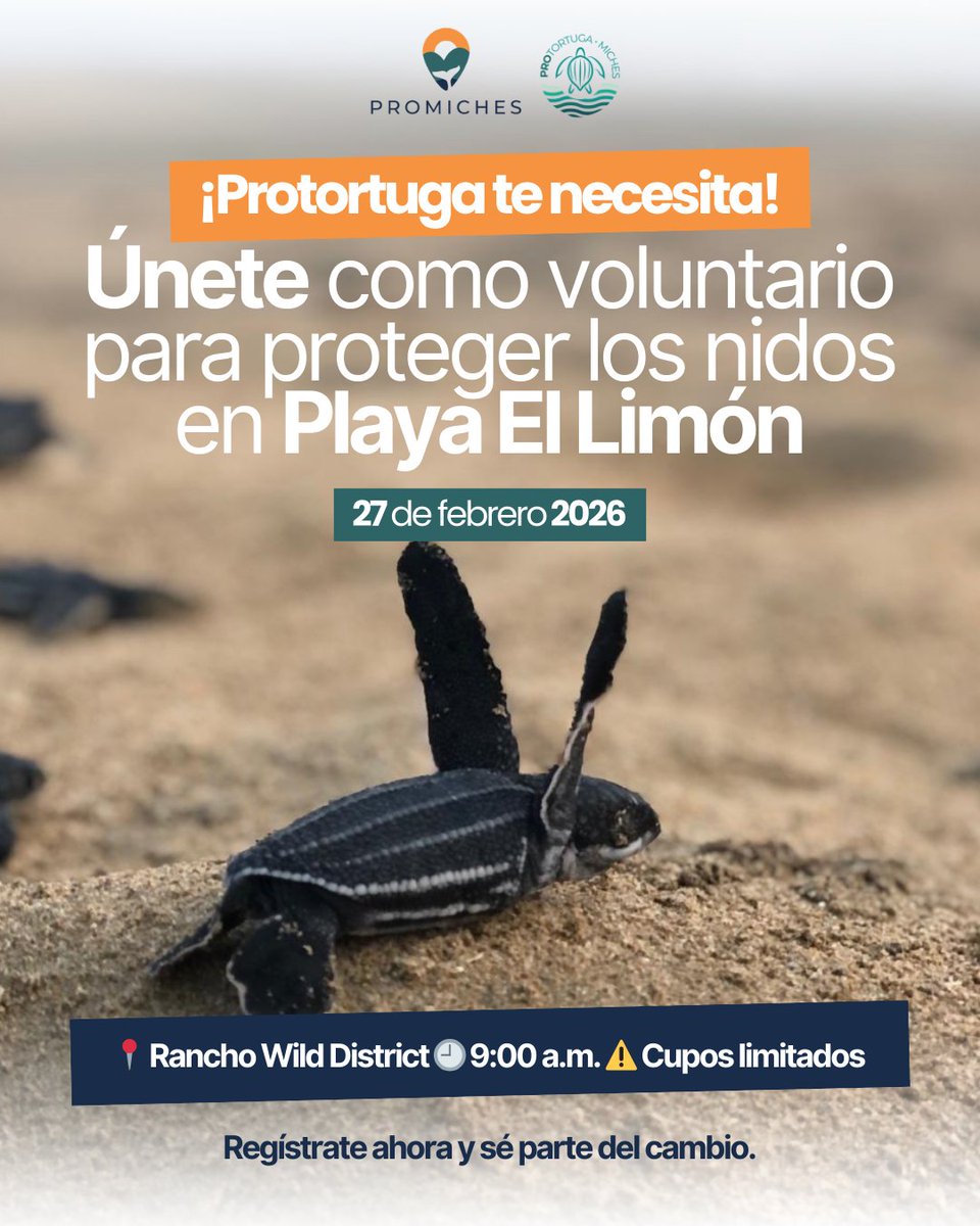 Este 27 de febrero celebramos la Independencia preparando el vivero de Playa Limón para la temporada de tortugas marinas 2026 🐢🌊

📍Rancho Wild District, Playa Limón
🕘 9:00 a.m.
¡Súmate y protege la vida marina! bit.ly/ViveroElLimón

#Protortuga #Promiches