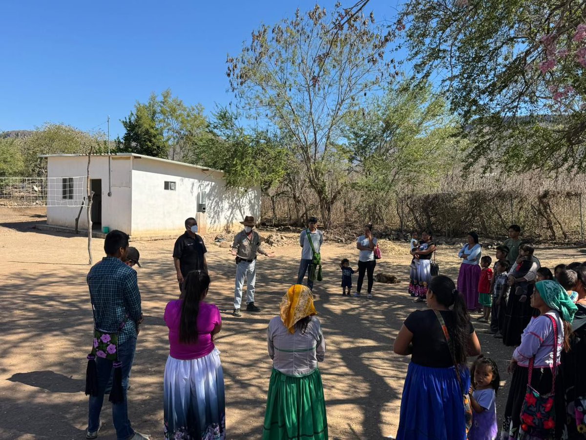 SSDurango's tweet photo. En el gobierno que encabeza @EVillegasV, se fortalecen acciones para llegar a las zonas vulnerables.
Con el #PFAM a cargo de la Jurisdicción Sanitaria No. 1, se realizó intensa campaña de vacunación contra sarampión la comunidad Picachos, en el municipio del Mezquital. https://t.co/9TPc8behmd