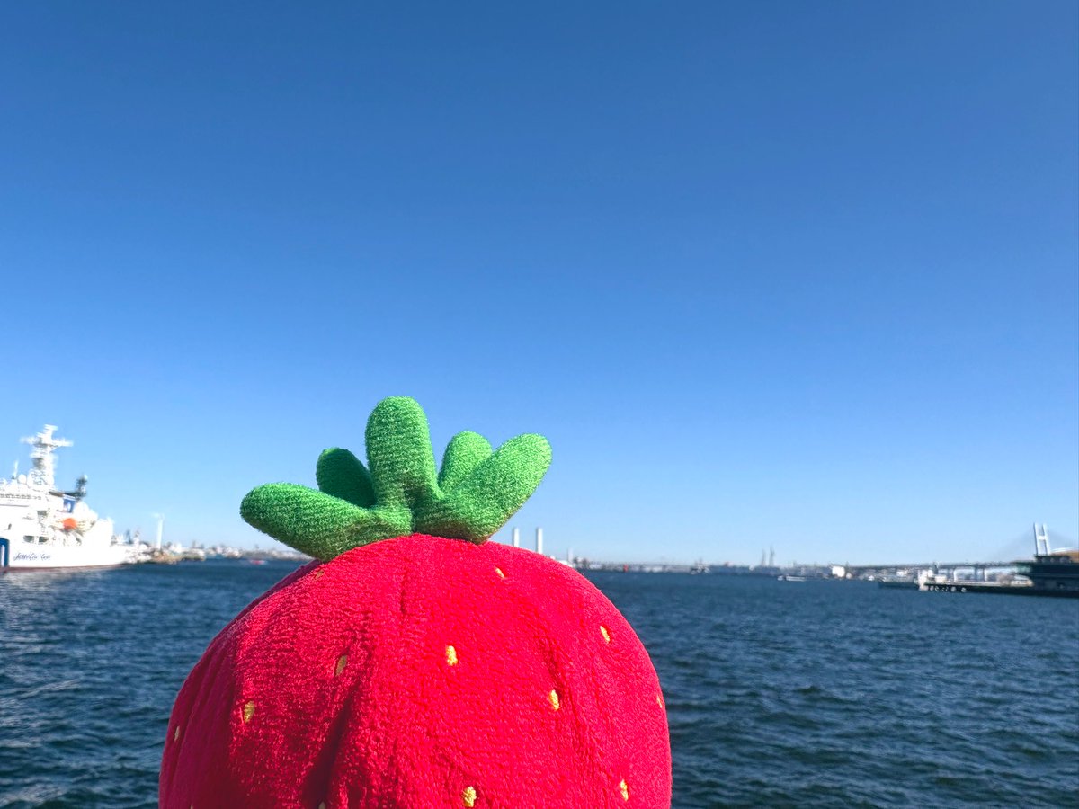 いちごは青に映えるねぇ 😼いちご ぱえぱえでつ