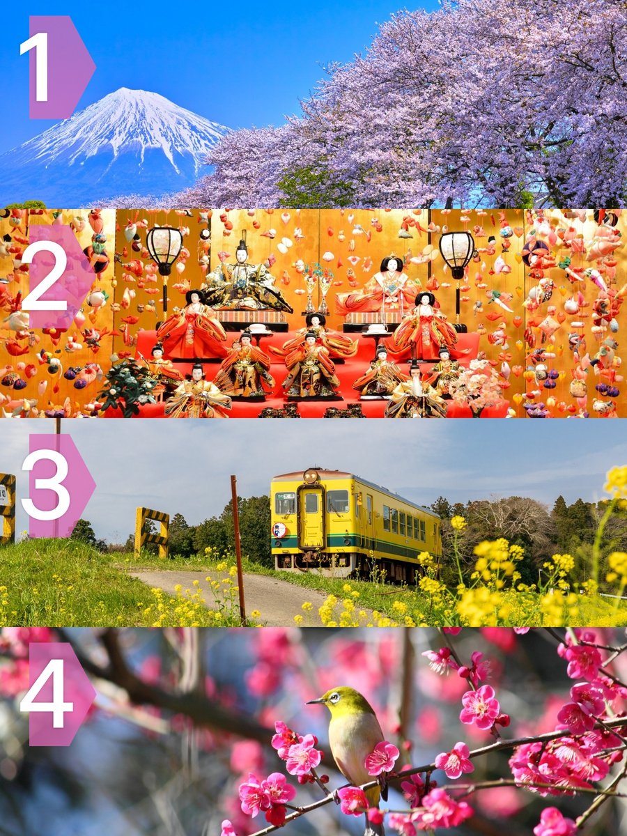 japan's tweet photo. Let's #PickaHeader for March, when spring blossoms bloom ๐ธ๐ผ, birds come out, ๐ฆ, trains chug past lush fields ๐, and Hina Matsuri (Doll Festival) begins ๐. Tell us your favorite number by February 23 and we'll announce the winner here the next day! https://t.co/4GFYickf6g
