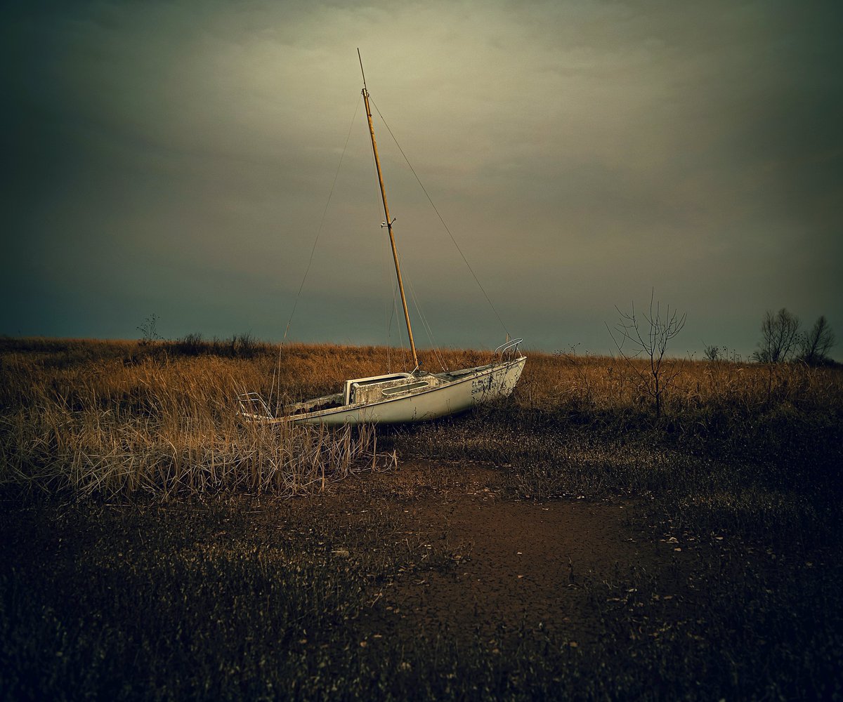 Kelly Kerr tweet media