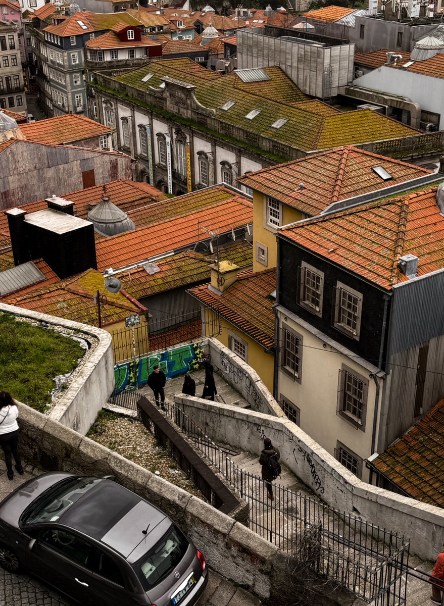 shah ش 🇨🇴 tweet media