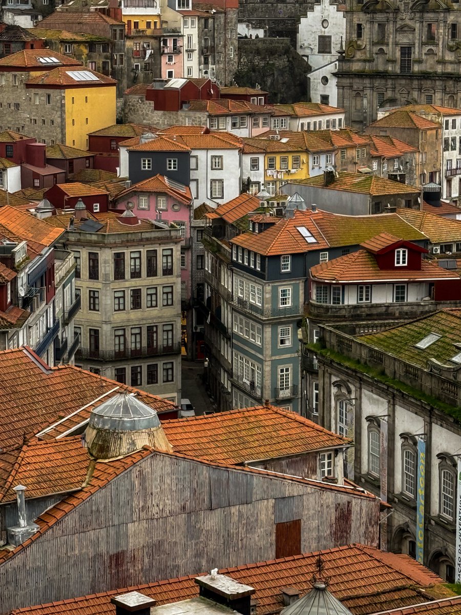 shah ش 🇨🇴 tweet media