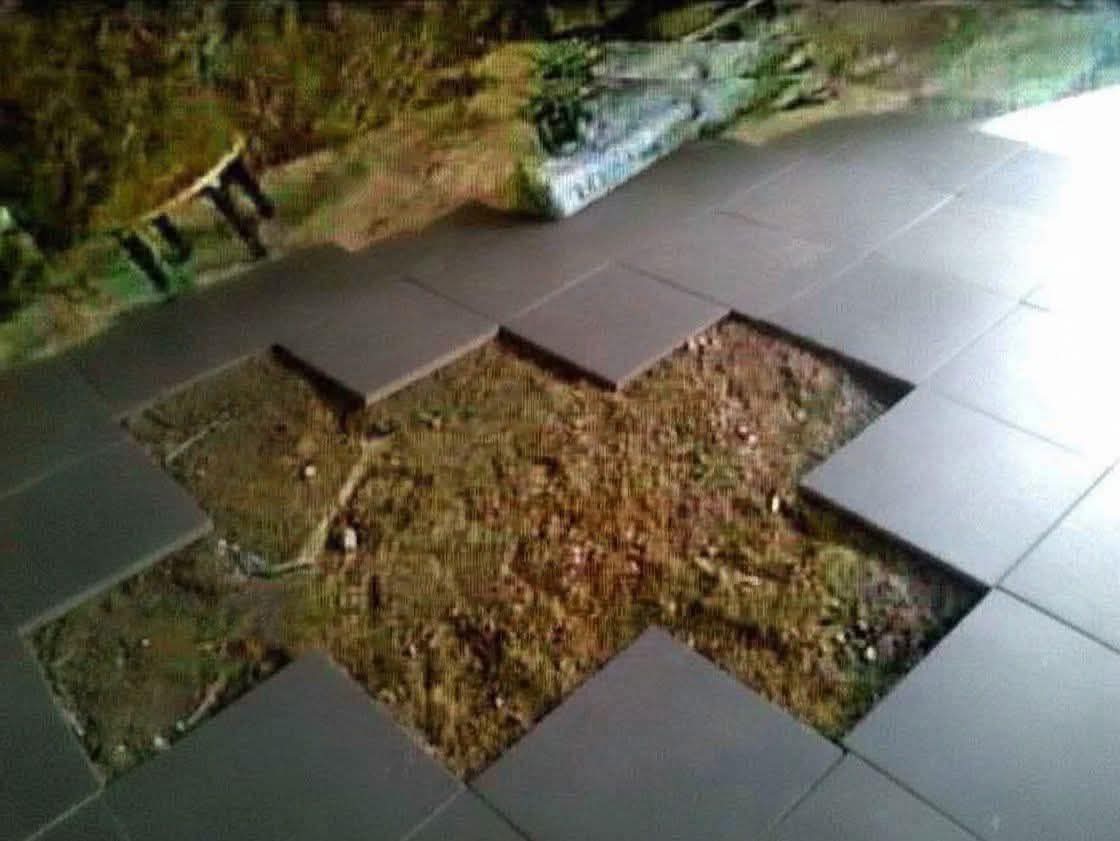 Damien Scott tweet media