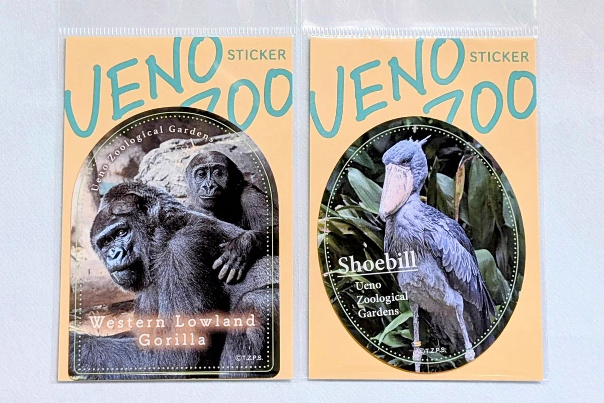 上野動物園［公式］ on X: 