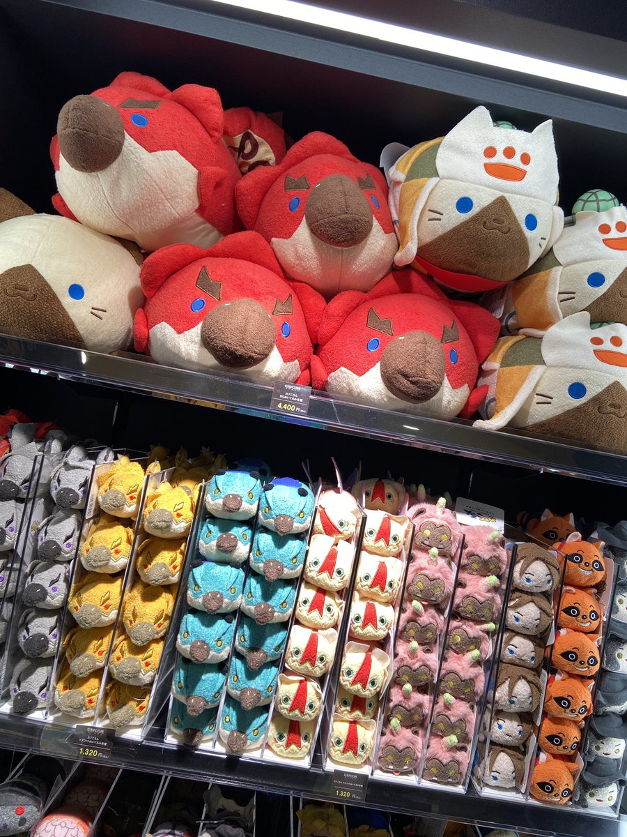 ブランカちゃん