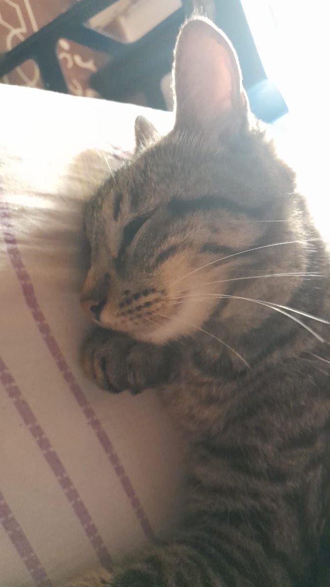 Bueno....Nosotros nos vamos a dormir!!! Hasta mañana!!