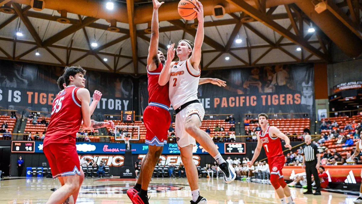 Pythons Picks💎🏀🏈⚾️🏒 tweet media