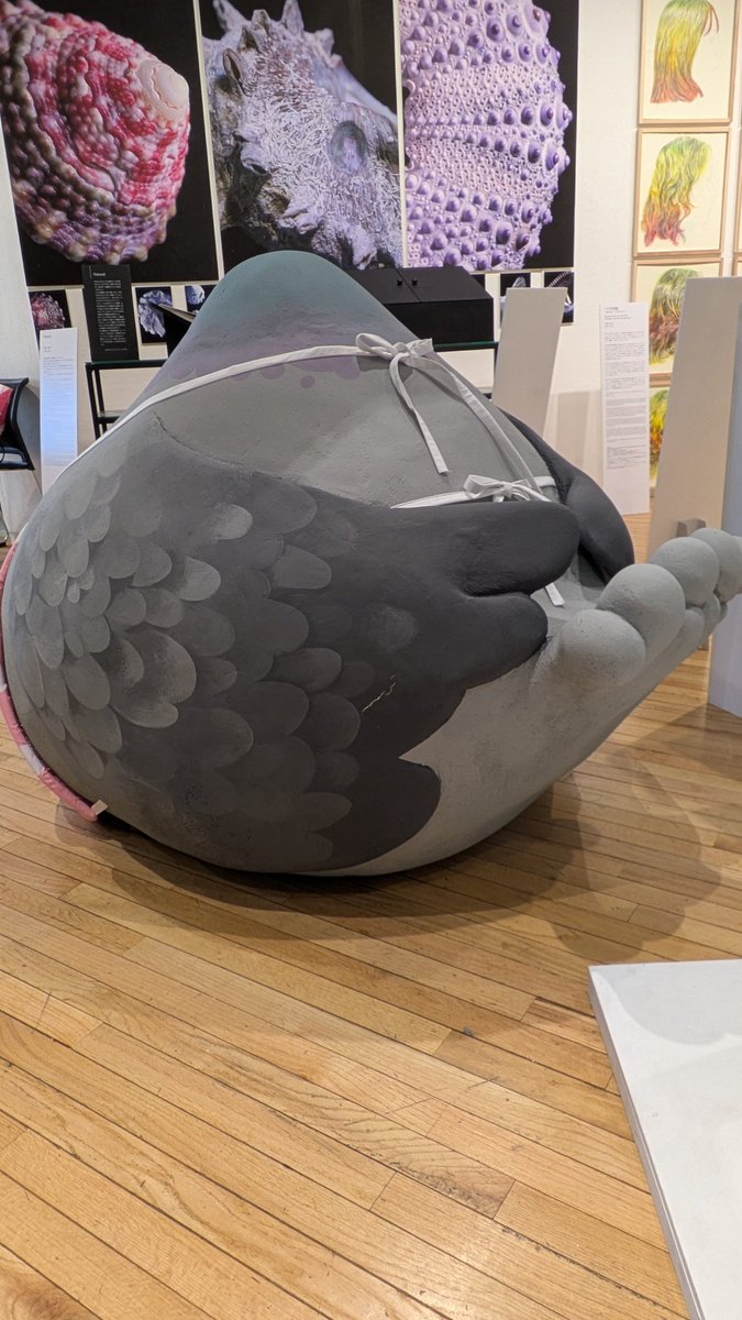 Post by 色の鬼🦴 on X: ？