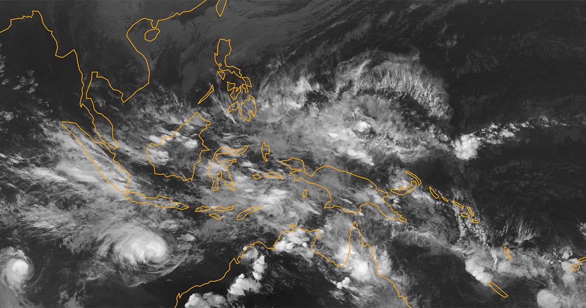 東北大学理学研究科広報室 tweet media