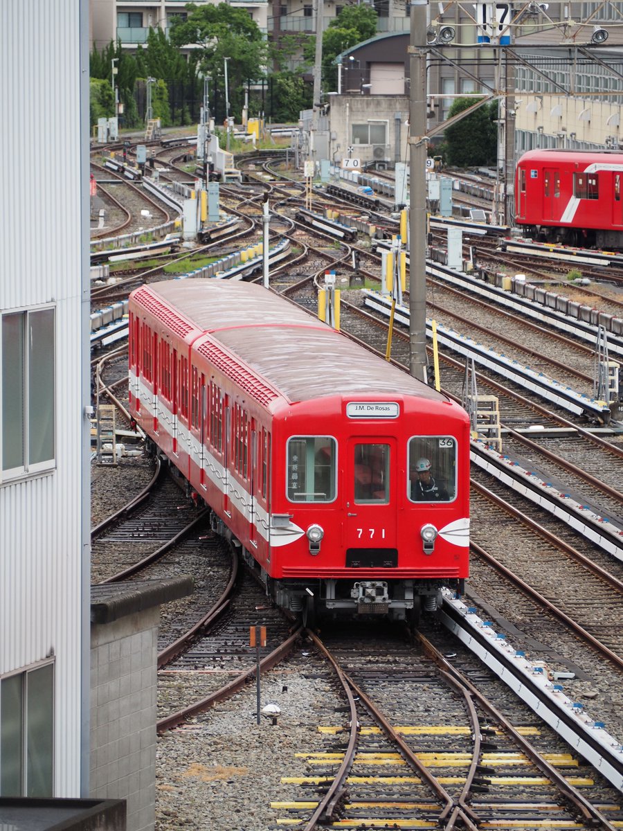 咲夜 はたて🇯🇵🇦🇷 tweet media