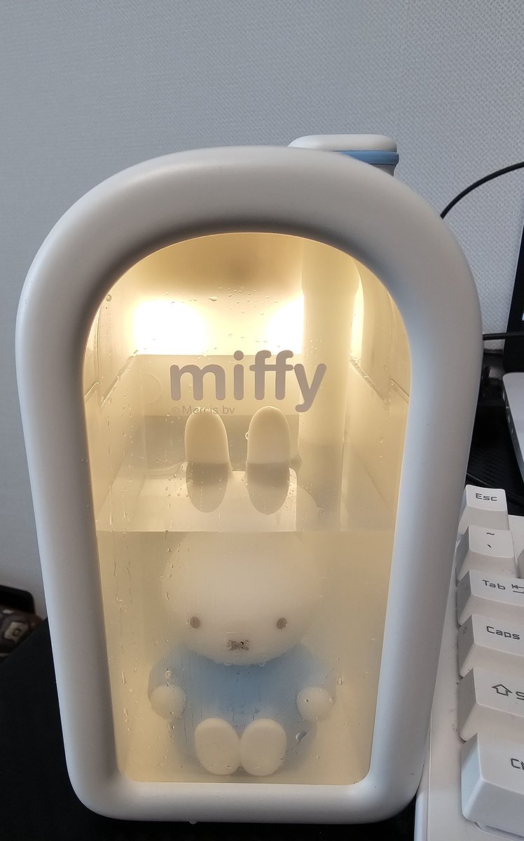alli146105's tweet image. 재택하면서 가습기‼️
미피 가습기 넘귀엽죠👉👈

#미피 #mifi #가습기 #일상계_𝕏친소 
#블루레이디