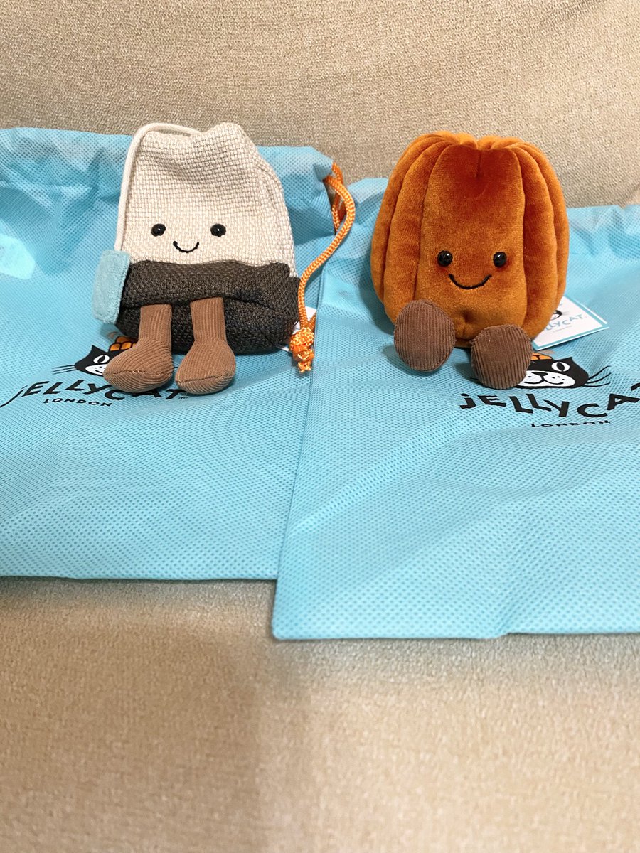 無事届いた〜😭😆😍💕なんて可愛さ🥺 #ジェリーキャット