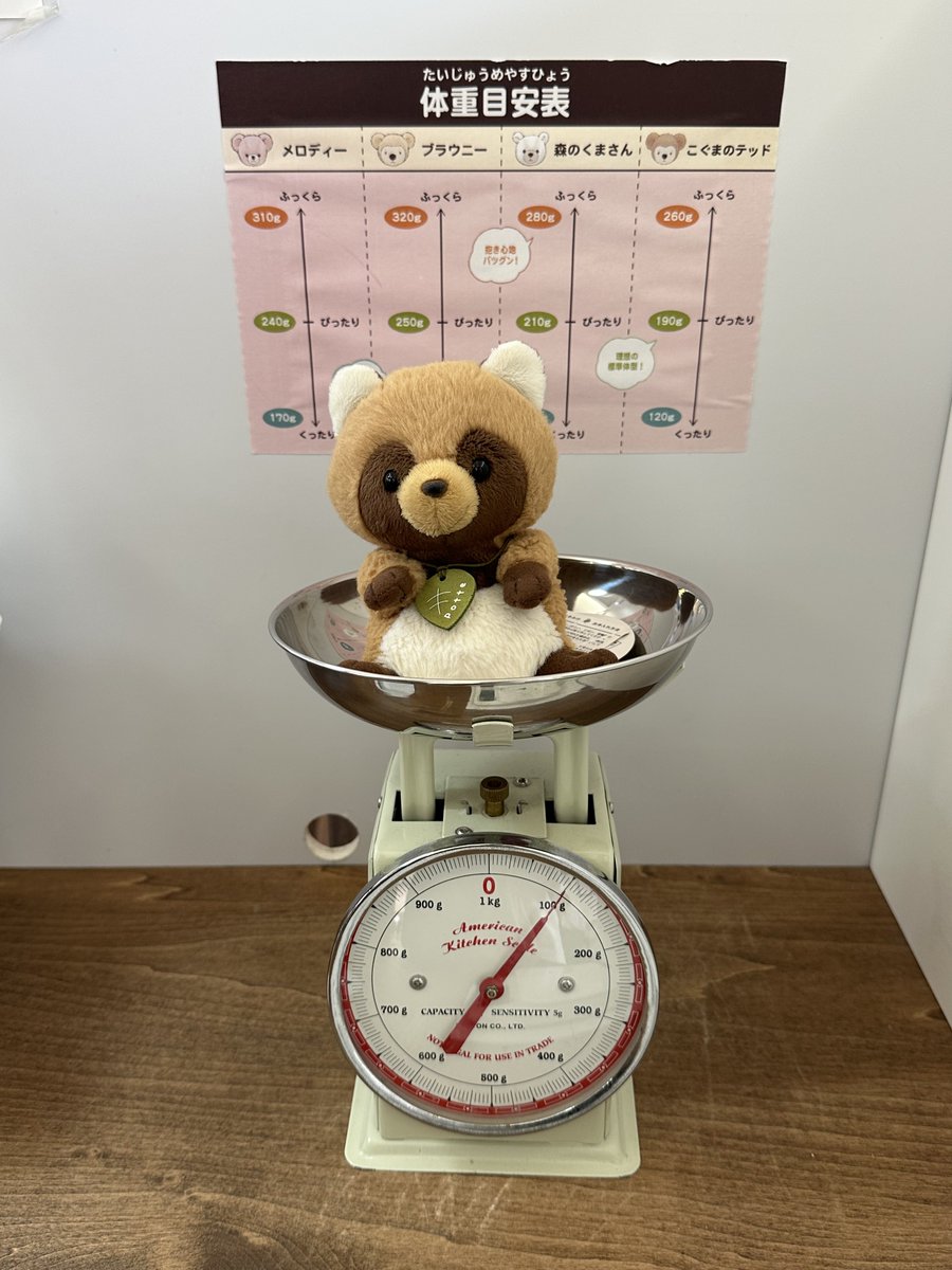 うちのpotteたぬきはいつも元気(100g)