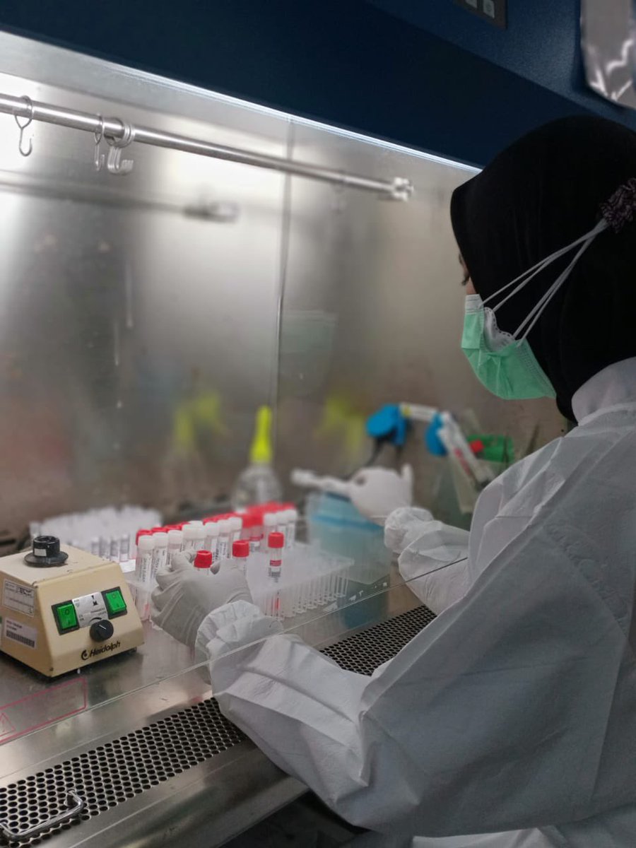 dara☆〜 tweet media