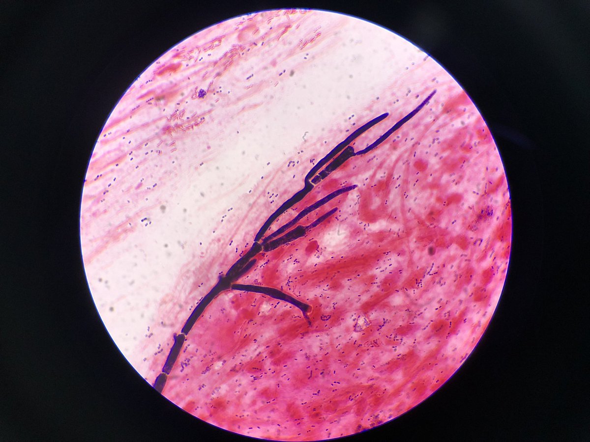 dara☆〜 tweet media