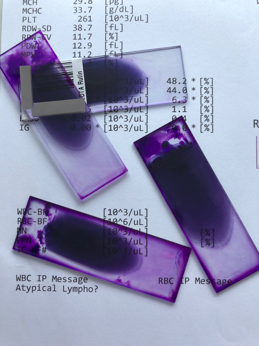 dara☆〜 tweet media